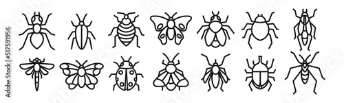 Insects line art icon set design template vector illustration © Vectorsoft