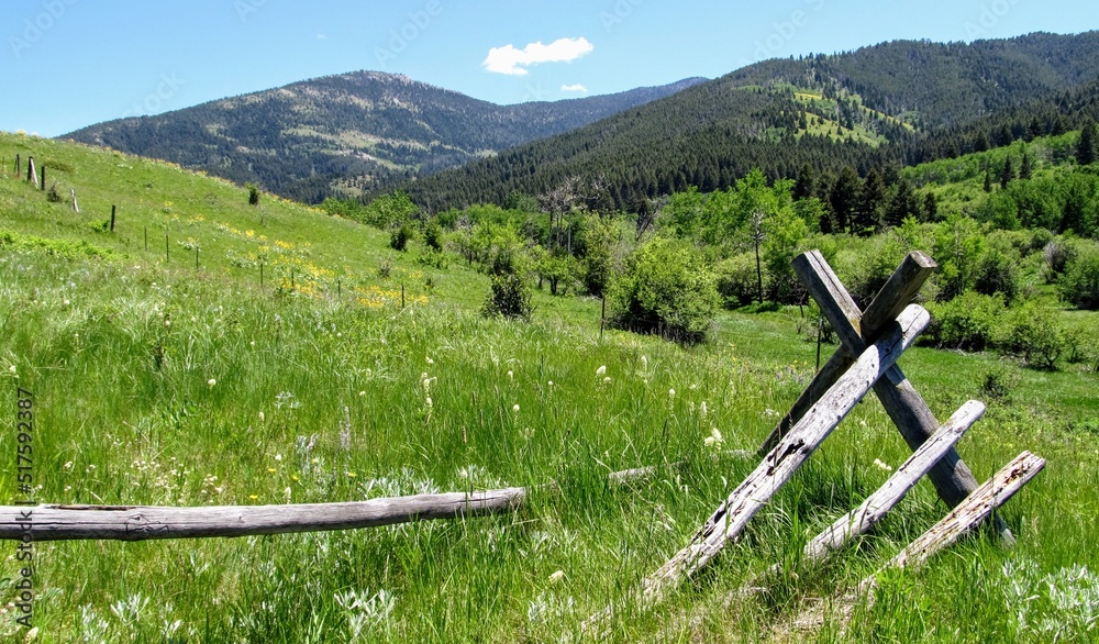 fence in the mountain meadow