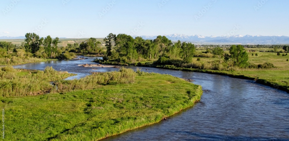 landscape with river and trees