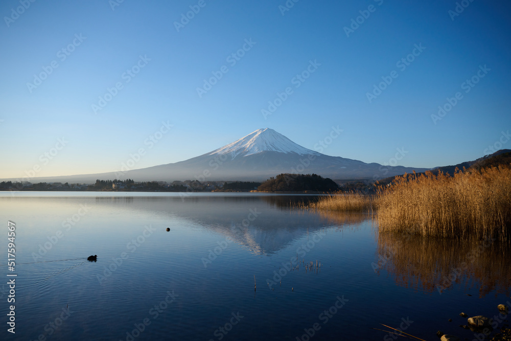 Floating Mt. Fuji on the Lake Kawaguchi