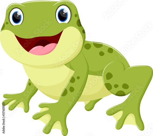 Cartoon happy frog  isolated on white background