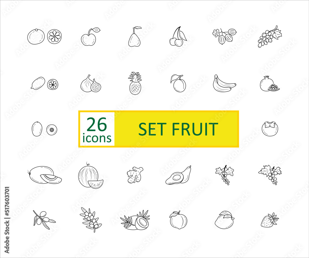 Fruits icon set. Simple concise images of fruits with names. Collection of icons in outlines.  Lemon, orange, ginger, watermelon, melon, plum, pineapple, gooseberry and others. Vector, eps