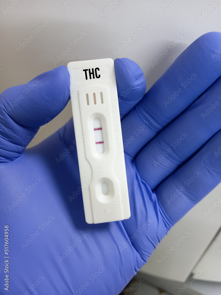 Rapid test cassette or device for THC (Tetra Hydro Cannabinol) test. THC toxicology screen urine tests for doping and drugs. Marijuana test. Rapid test cassette or device for THC (Tetra Hydro Cannabinol) test. THC toxicology screen urine tests for doping and drugs. Marijuana test.