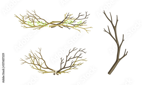 Set of dry tree branches. Bare twigs tied with rope vector illustration