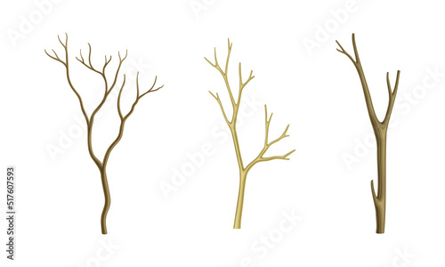 Dry tree branches without leaves set vector illustration