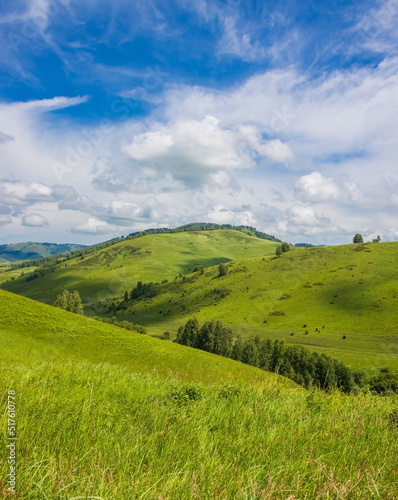 Summer foothill landscape. Green meadow and blue sky with clouds. Altai. © tvorecxtra