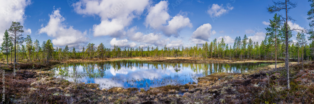 Sweden, Dalarna, Panoramic view of clear lake and surrounding forest Sweden, Dalarna, Panoramic view of clear lake and surrounding forest
