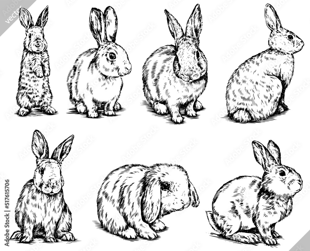 black and white brush painting ink draw isolated rabbit set illustration
