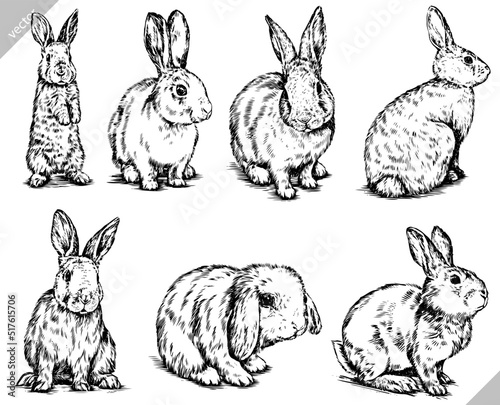 black and white brush painting ink draw isolated rabbit set illustration