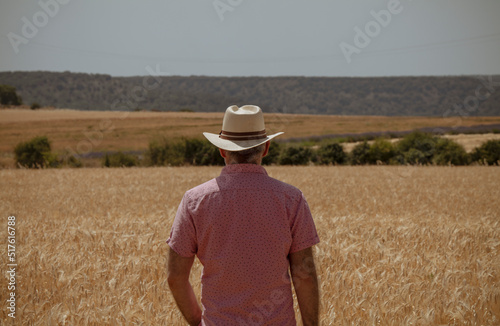 Rear view of adult man in cowboy hat in wheat field