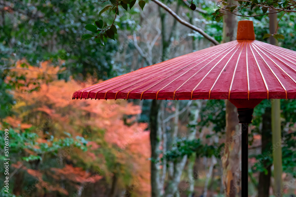 秋の神戸市・瑞宝寺公園で見た、赤い和傘とその背景にある紅葉