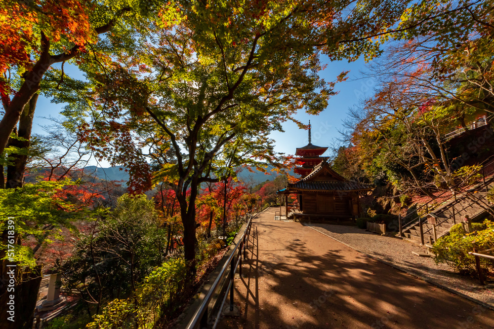 秋の奈良県・長谷寺で見た、太陽に照らされる紅葉と快晴の青空