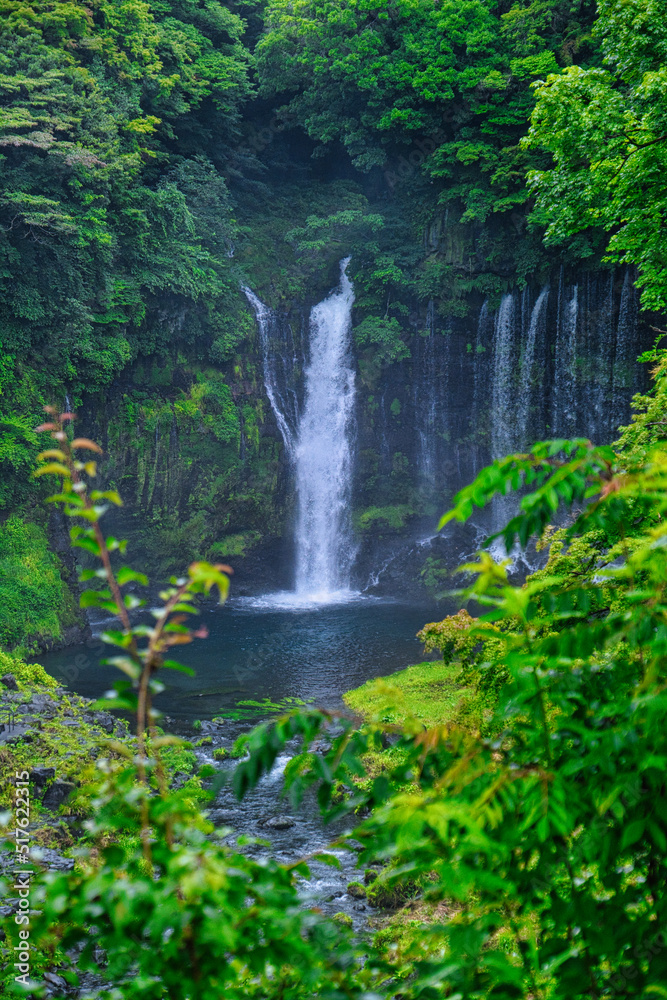 Obraz premium 富士山麓の白糸の滝