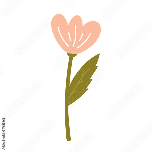 Cute pink flower with leaves isolated on white background. Vector illustration in hand-drawn flat style. Perfect for cards, logo, decorations, spring and summer designs. Botanical clipart.