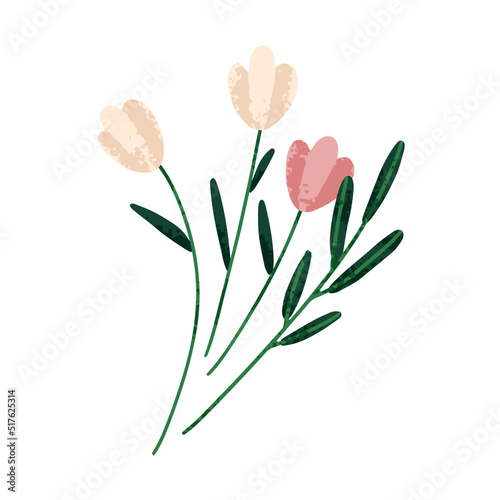 Spring gentle flowers with leaf. Romantic garden blooms. Blossomed floral plants composition. Charming delicate floristic decoration. Flat graphic vector illustration isolated on white background