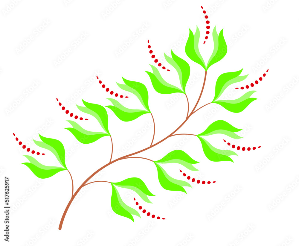 Decorative branch of a flowering plant.