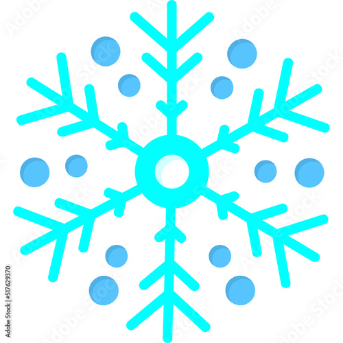 Snowflake Icon