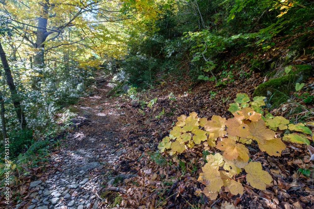 Roman road, Boca del Infierno route, Valley of Hecho, western valleys, Pyrenean mountain range, province of Huesca, Aragon, Spain, europe Roman road, Boca del Infierno route, Valley of Hecho, western valleys, Pyrenean mountain range, province of Huesca, Aragon, Spain, europe