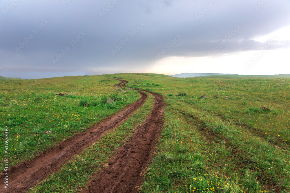 Rural road on green field. Rural road on green field.