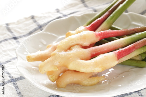 Japanese food ingredient, freshness young ginger  photo