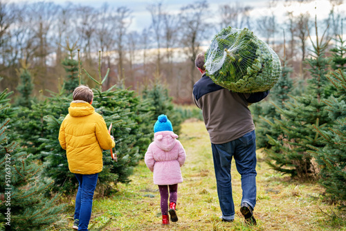 Happy family, man and two children with Christmas tree on fir tree cutting plantation. Preschool girl, kid boy and father choosing, cut and felling own xmas tree in forest, family tradition in Germany photo