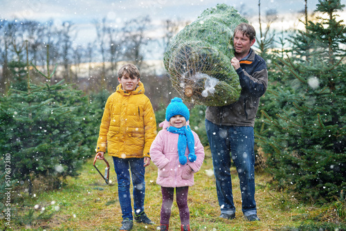 Happy family, man and two children with Christmas tree on fir tree cutting plantation. Preschool girl, kid boy and father choosing, cut and felling own xmas tree in forest, family tradition in Germany photo