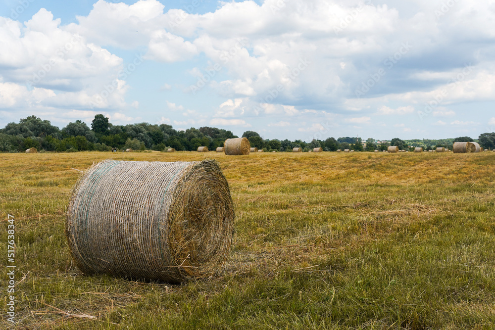 Roll of straw in an agricultural field with dry grass and blue skies with clouds in summer