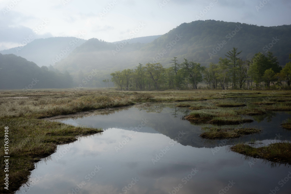 Early morning marshland