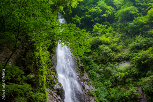 Fresh green Waterfall © 悟 鵜澤