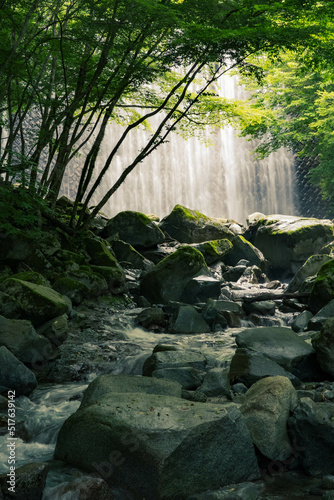 Fresh green Waterfall