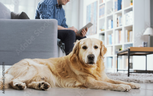 Man and his dog at home