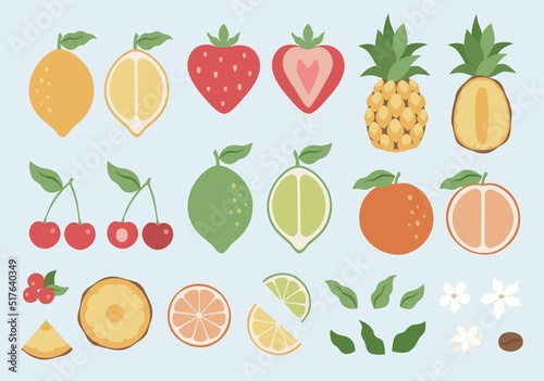 Summer fruit, berry big set. Retro Design Summer. Trendy vector hand drawn illustrations. Healthy natural food, juicy summer fruit elements for web, app, textile, wallpaper, stationery design. Vector 