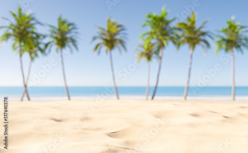 Green palm trees on sandy seashore in summer
