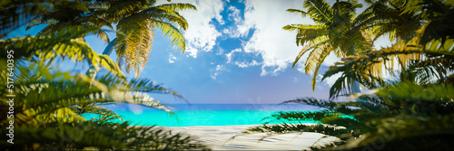 Fototapeta Naklejka Na Ścianę i Meble -  Tropical beach panorama with palm trees - holiday template - 3d remder
