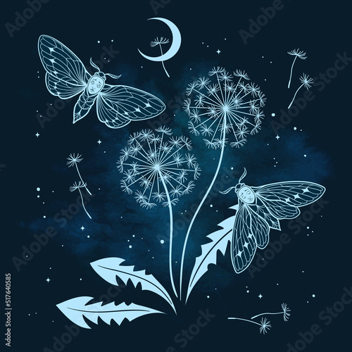 Hand drawn gothic night scene with moths and dandelions silhouettes in graphic style vector illustration