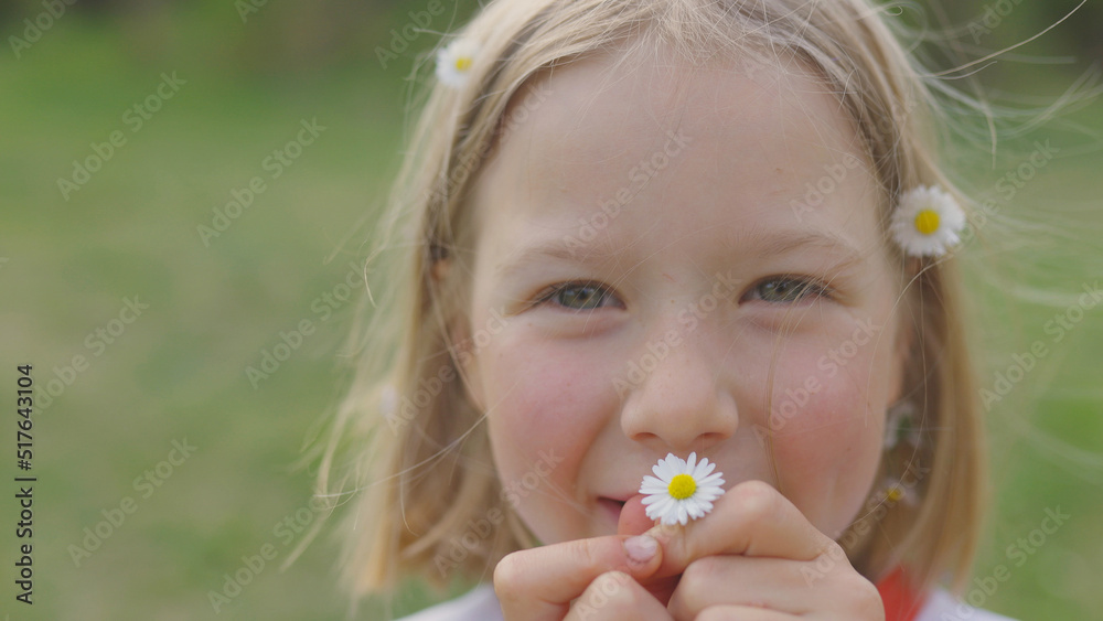 A girl with daisies in her hair and hands is smiling. The concept of youth and beauty and hair and body care A girl with daisies in her hair and hands is smiling. The concept of youth and beauty and hair and body care