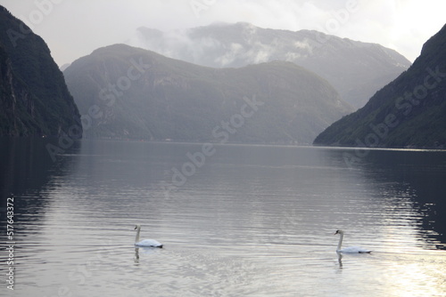 Dirdal, localidad de Noruega a orillas de un fiordo.  photo