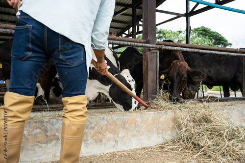 Attractive Caucasian male dairy farmer working alone outdoors in farm. 