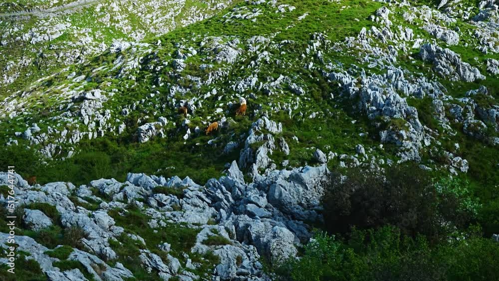 Karstic landscape in spring in the Sierra de Mullir. Ruesga Valley, Cantabria, Spain, Europe Karstic landscape in spring in the Sierra de Mullir. Ruesga Valley, Cantabria, Spain, Europe