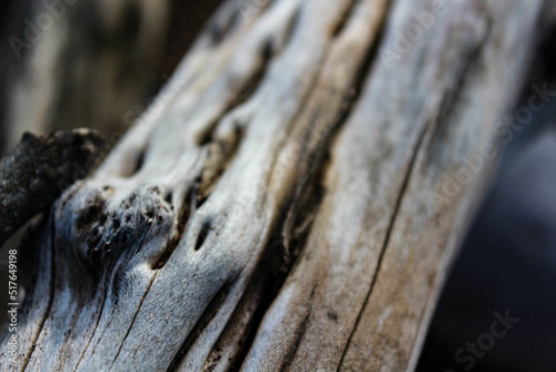 close up of a particular log