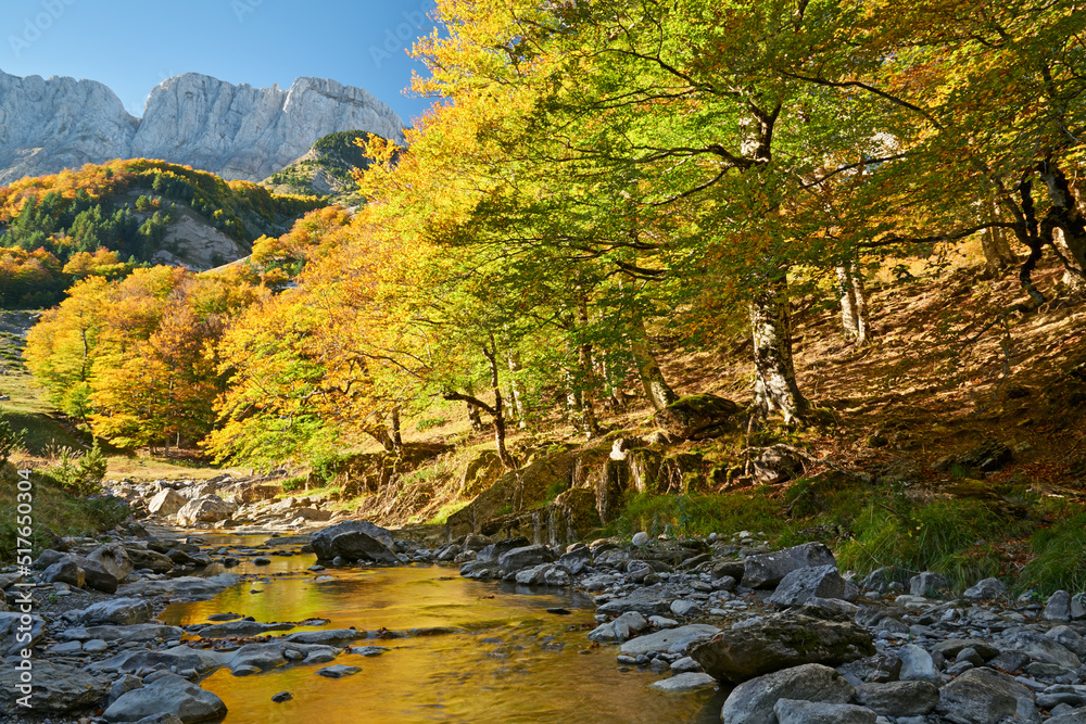 Autumn in Linza Tatxeras, Pyrenees Autumn in Linza Tatxeras, Pyrenees