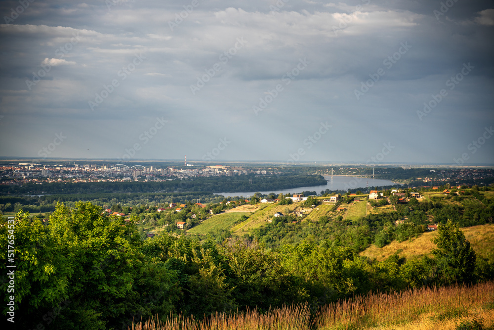 Beautiful summer landscape, green hills of Fruska Gora, travel to Serbia. Panoramic view of Novi Sad and the Danube river