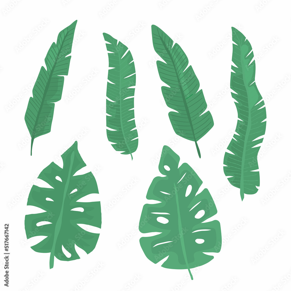 Collection of green leaves. Vector illustration of natural plant elements isolated on white background.