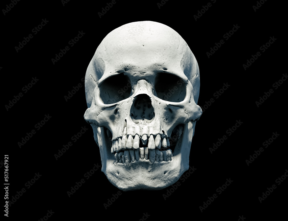 The Anatomical right Human skull in full face on a black isolated background. Concept of death, horror. Spooky Halloween symbol, virus. print, poster. wallpaper. 3d render illustration. The Anatomical right Human skull in full face on a black isolated background. Concept of death, horror. Spooky Halloween symbol, virus. print, poster. wallpaper. 3d render illustration.