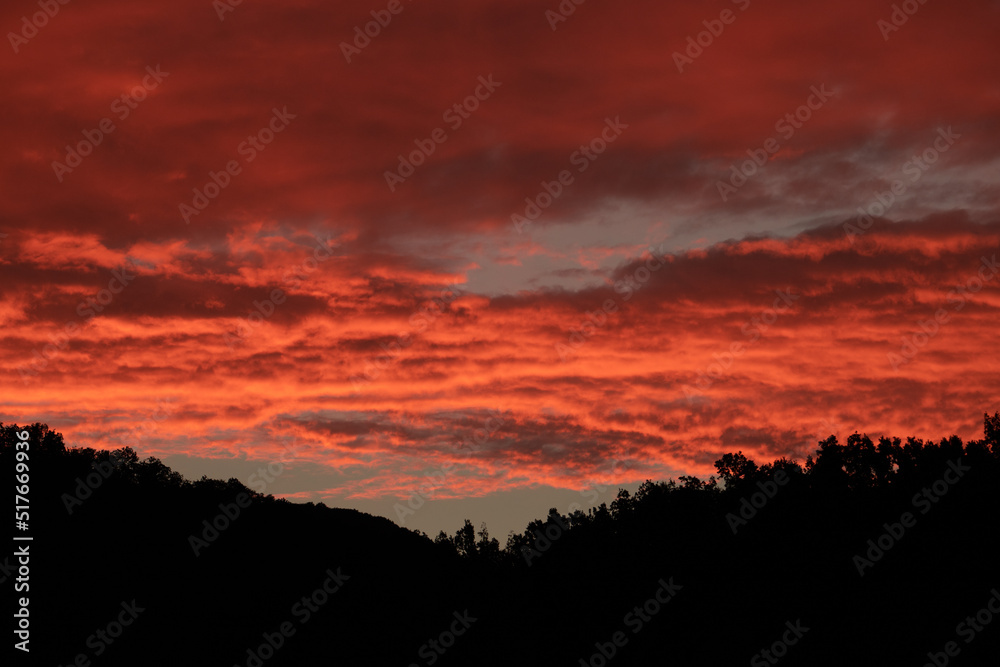 landscape with red sky in the morning