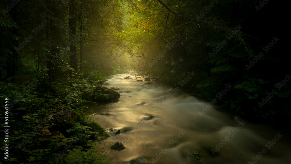 Obraz premium Forest river