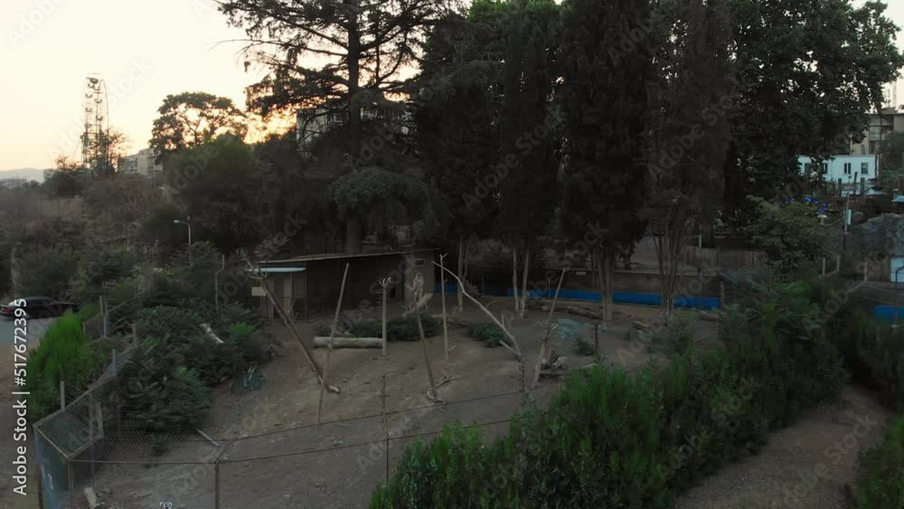 Tbilisi, Georgia - 15th july, 2022: monkeys behind fence in Tbilisi zoological park at sunset