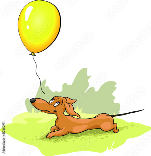 The dachshund, beats with a balloon in its muzzle. yellow  Valentine, vector, illustration, 