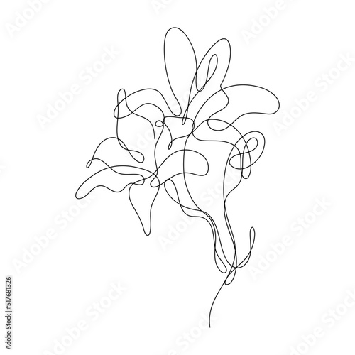 Abstract Flower Lily one line art drawing singulart aesthetic minimalist vector Isolated white background, Perfect for print, wall decor, phone case, shirt, sticker, pillow, acrylic, border, wallpaper