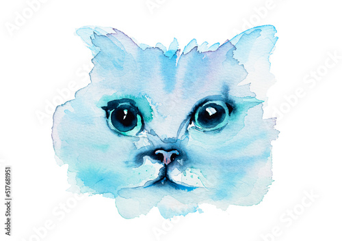 cute little face of a white kitty. watercolor illustration